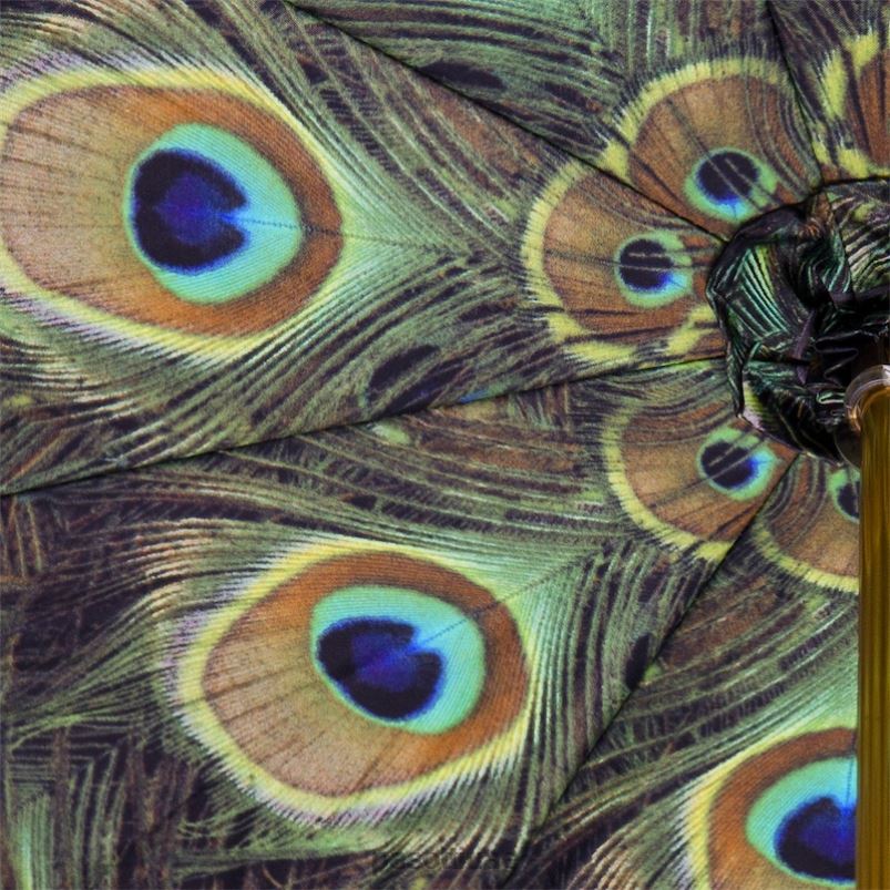 مظلة | 189 هاواي P5 - مظلة سوداء مع طاووس داخلي، قماش مزدوج PASOTTI Z446V415